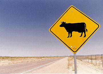 又涨价了？xbox内部人士称《使命召唤》新作售价80美元